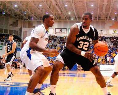 BLACKBIRDS RIDING HIGH|BLACKBIRDS RIDING HIGH