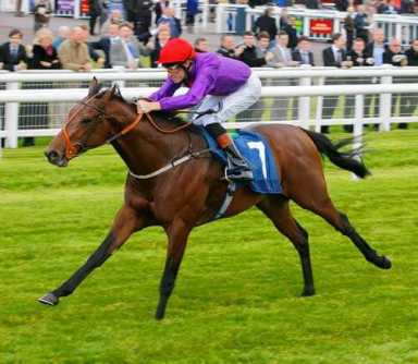No horsing around with Usain Colt