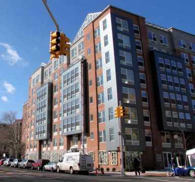 Apartments and a farm sprout in the Bronx|Apartments and a farm sprout in the Bronx