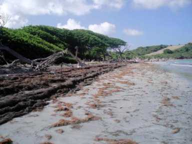 Water a key factor for Caribbean tourism
