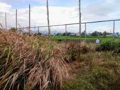 Trinidad’s farmers outpaced by climate change