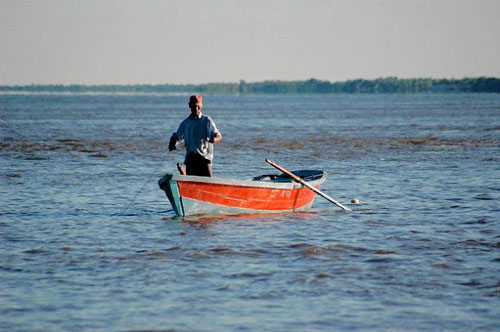 Trinidad cracks down on destructive shrimp trawling