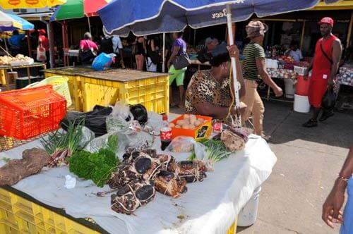 Small Island economies battered by erratic weather|Small Island economies battered by erratic weather