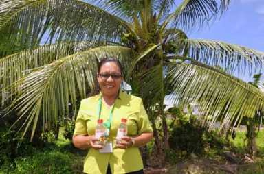 Climate change a mixed blessing for coconut farmers|Climate change a mixed blessing for coconut farmers