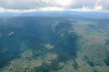 Mining takes a bite out of Guyana’s Amazon