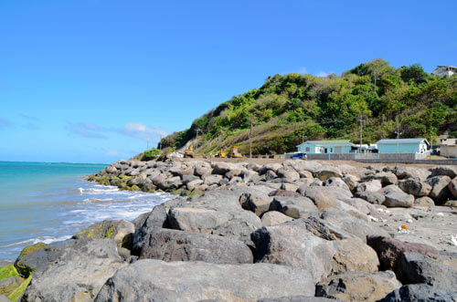 Saving the tiny island of Petite Martinique