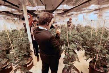 US drug policy fuels push for legal pot worldwide|US drug policy fuels push for legal pot worldwide