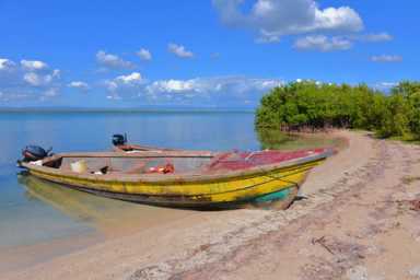 Jamaica aims to revive economy with port hub
