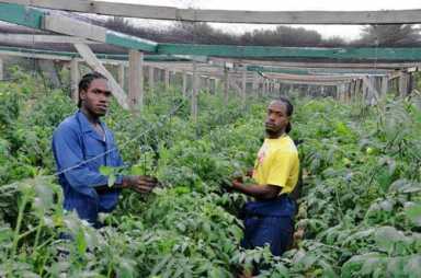 Blessed’ rains become a curse in Antigua