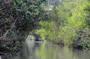 Beyond Carnival|Beyond Carnival|Beyond Carnival