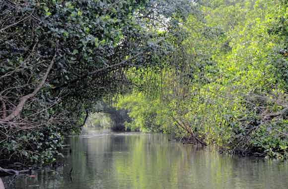 Beyond Carnival|Beyond Carnival|Beyond Carnival