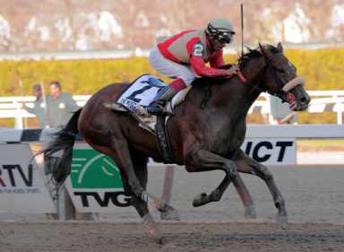Jamaican veteran jockey heads South