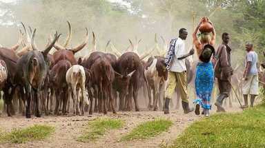 A native son’s emotional journey to Tanzania