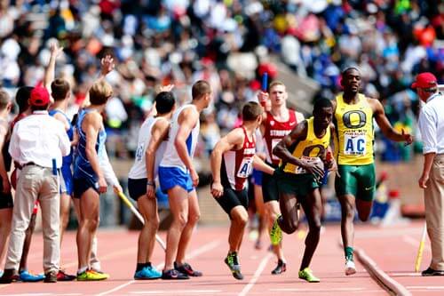 Team USA wins 4 of 6 races in Penn Relays|Team USA wins 4 of 6 races in Penn Relays