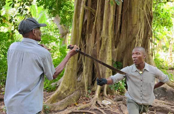 Grace, danger blend in Haiti’s machete fighting|Grace, danger blend in Haiti’s machete fighting