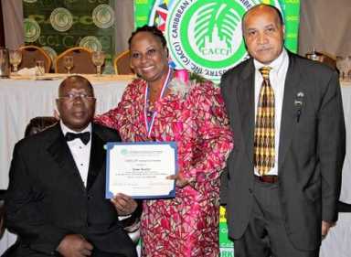 CACCI honors 11 on 29th anniversary