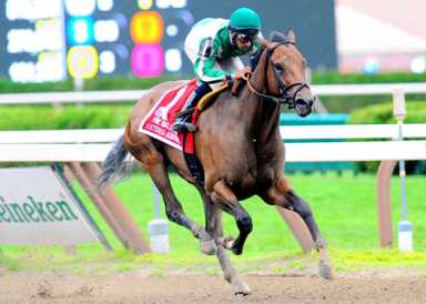 Injury sidelines Jamaican jockey