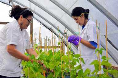 Unlocking innovation for food and farming