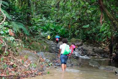 Caribbean youth ready to lead on climate issues|Caribbean youth ready to lead on climate issues