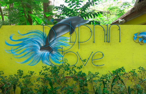 Fall in love with Jamaica|Fall in love with Jamaica|Fall in love with Jamaica|Fall in love with Jamaica|Fall in love with Jamaica|Fall in love with Jamaica|Fall in love with Jamaica|Fall in love with Jamaica|Fall in love with Jamaica|Fall in love with Jamaica|Fall in love with Jamaica|Fall in love with Jamaica