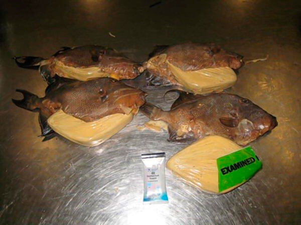 Jamaica’s ‘fishy cocaine’ among 2015 top 10 seizures