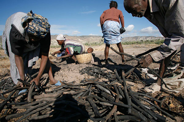 Weather blamed for doubled food insecurity in Haiti