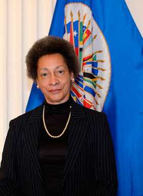 Jamaican lawyer to serve on human rights board