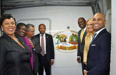 50th Independence logo on Dynamic aircraft