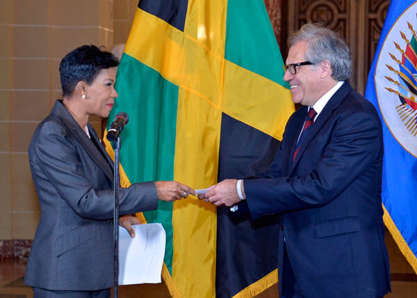 Jamaica envoy presents credentials to OAS chief