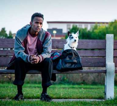 Independent & Foreign Films