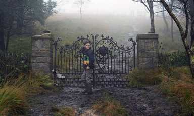 Beleaguered boy befriended by tree