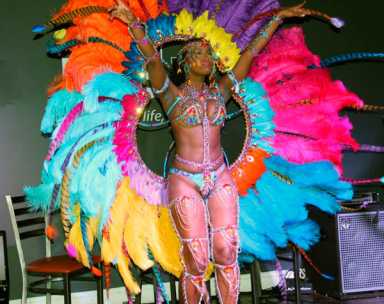 WIADCA launches ‘Eat Caribbean 2017’|WIADCA launches ‘Eat Caribbean 2017’|WIADCA launches ‘Eat Caribbean 2017’