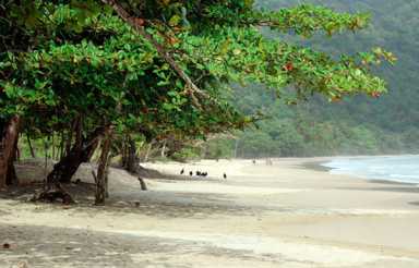 Relationship with the ocean part of T&T’s culture: UN|Relationship with the ocean part of T&T’s culture: UN|Relationship with the ocean part of T&T’s culture: UN