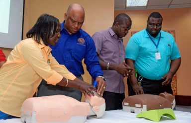 Team Jamaica Bickle donates more defibrillators|Team Jamaica Bickle donates more defibrillators