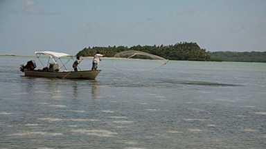 Fisheries in Africa, the Caribbean and Pacific – Immense opportunities, critical challenges