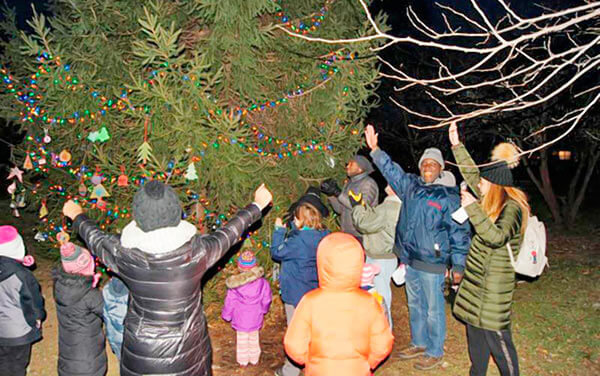 Williams joins holiday tree lighting