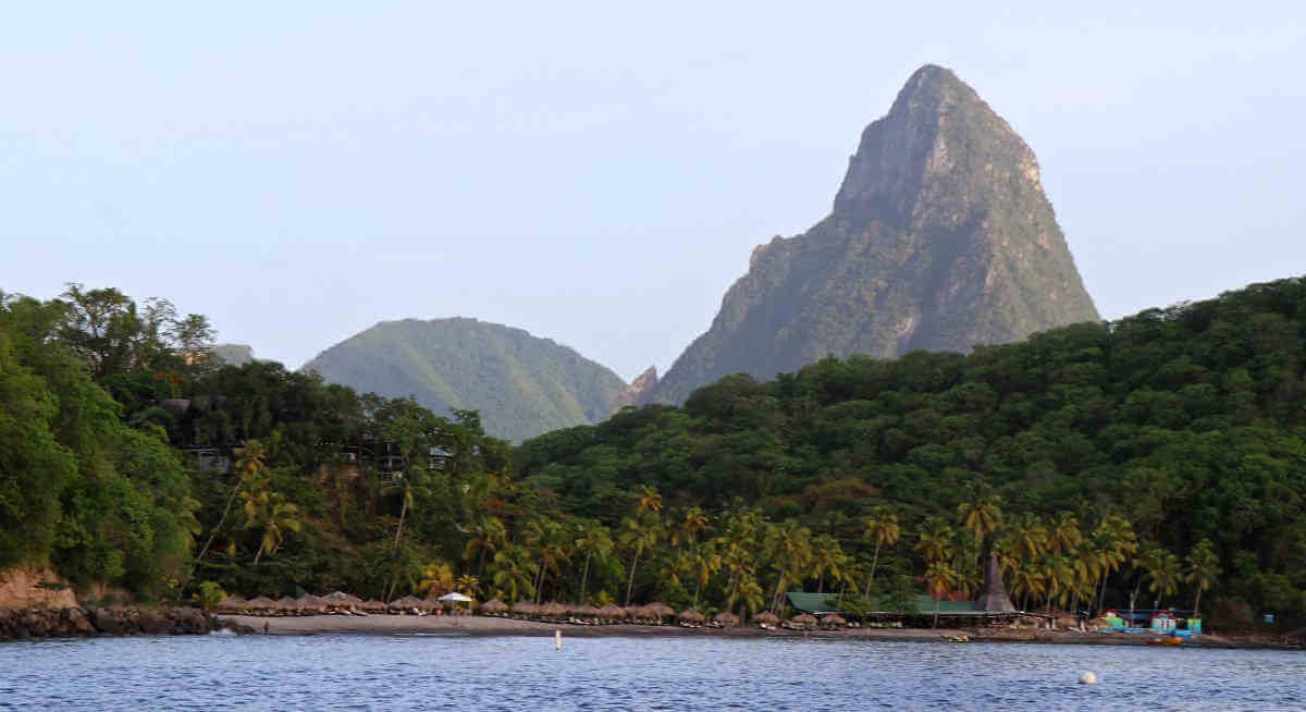 Urgent action needed to safeguard St. Lucia’s biodiversity|Urgent action needed to safeguard St. Lucia’s biodiversity