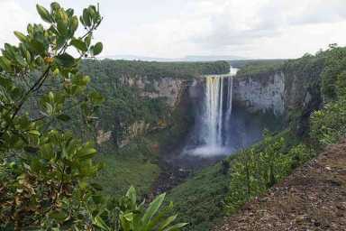 Salt water intrusion threatens Guyanese farmers