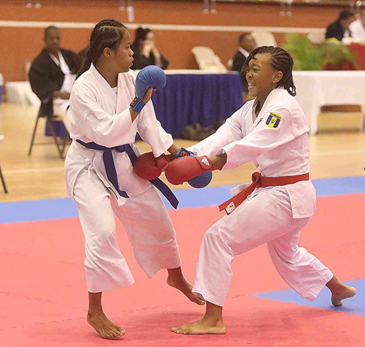Barbados karate champs
