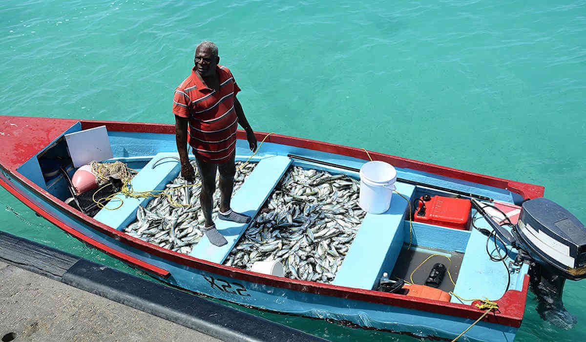 Barbados looks beyond its traditional agricultural industries into the deep blue|Barbados looks beyond its traditional agricultural industries into the deep blue