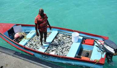Barbados looks beyond its traditional agricultural industries into the deep blue|Barbados looks beyond its traditional agricultural industries into the deep blue