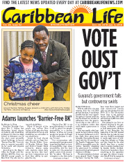 Caribbean Life: Brooklyn Edition: December 28
