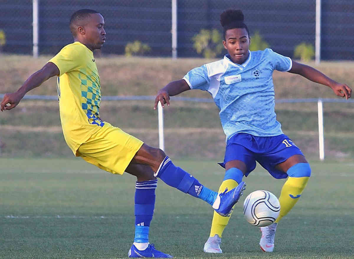 Unbeaten Paradise thrashes Dame