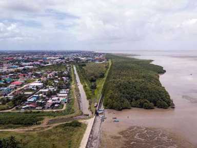 Environmental funding for Guyana must cater for mangroves too|Environmental funding for Guyana must cater for mangroves too