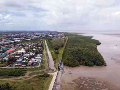 Environmental funding for Guyana must cater for mangroves too|Environmental funding for Guyana must cater for mangroves too
