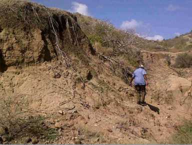 Desertification ‘More dangerous and more insidious than wars’