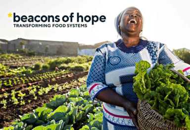 Forests, food & farming next frontier in climate emergency