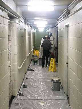 ‘We gave NYCHA an ultimatum, and they listened’: Myrie|‘We gave NYCHA an ultimatum, and they listened’: Myrie