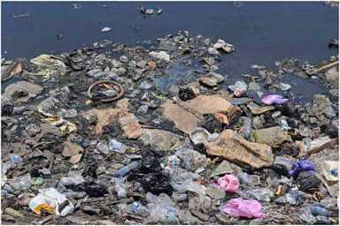 Plastic: The largest predator in our oceans