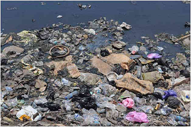 Plastic: The largest predator in our oceans